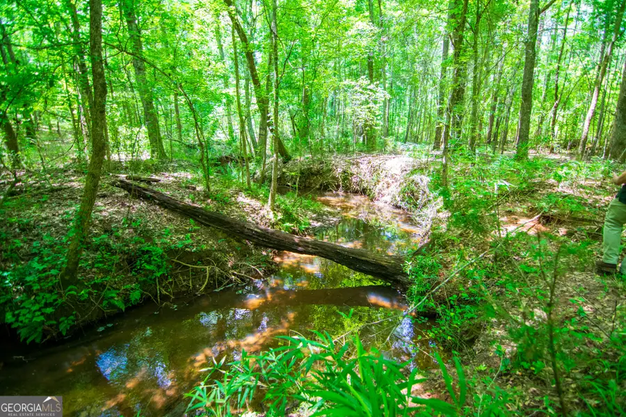 0 White Road, Pine Mountain, GA 31822 - #3