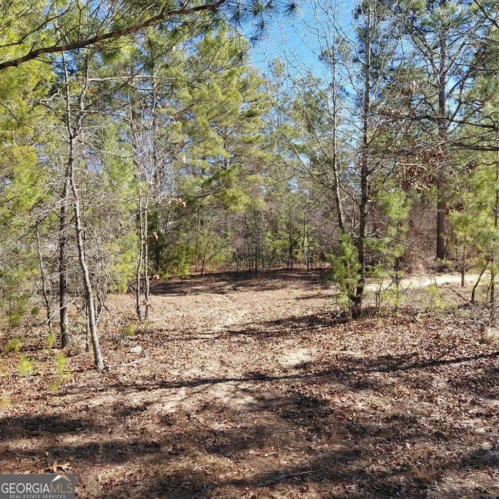 100 Sparrow Drive, Box Springs, GA 31801 - #1
