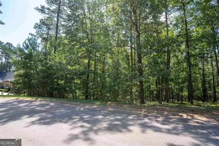 2111 Armors Ford, Greensboro, GA 30642 - #2