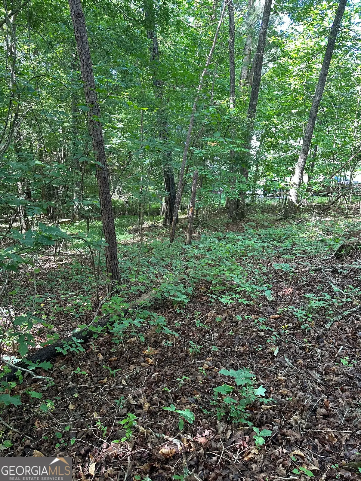 0 View Street, Clarkesville, GA 30523 - #1