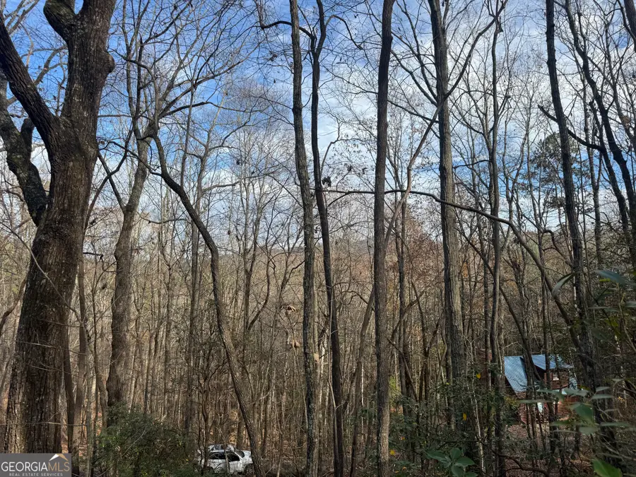 LOTS 47 AND 50 Geneva Place, Sautee Nacoochee, GA 30571 - #3