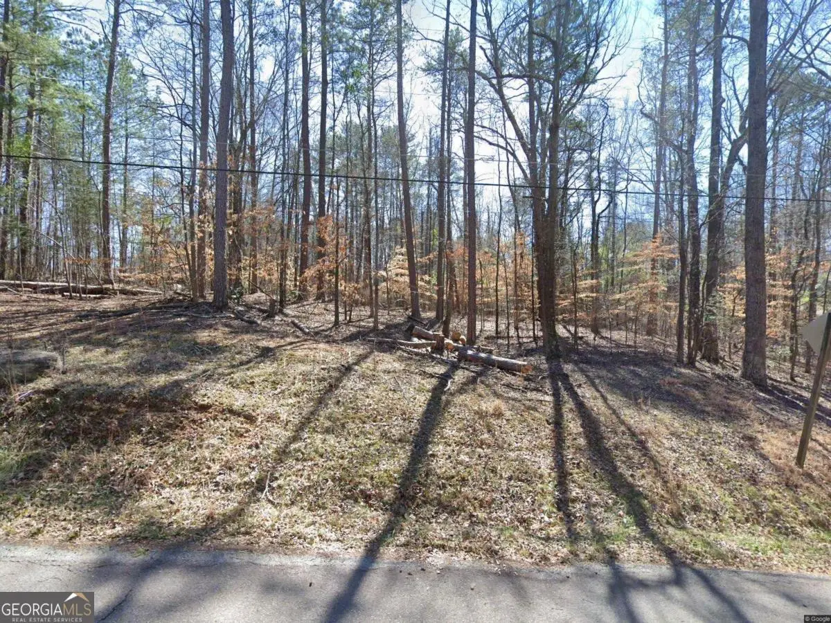 807 Timber Ridge Drive, Athens, GA 30607 - #1