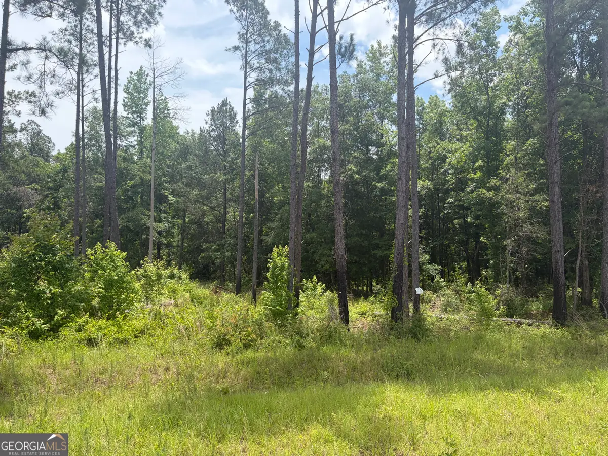 1 Sunhill Grange Road, Davisboro, GA 31018 - #1
