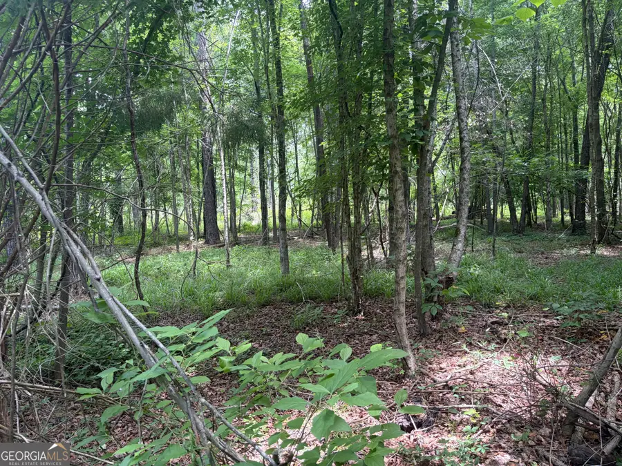 3 Sunhill Grange Road, Davisboro, GA 31018 - #3