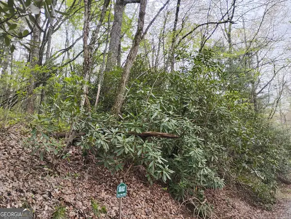 0 Rebel Circle #LOT 39, Sky Valley, GA 30537