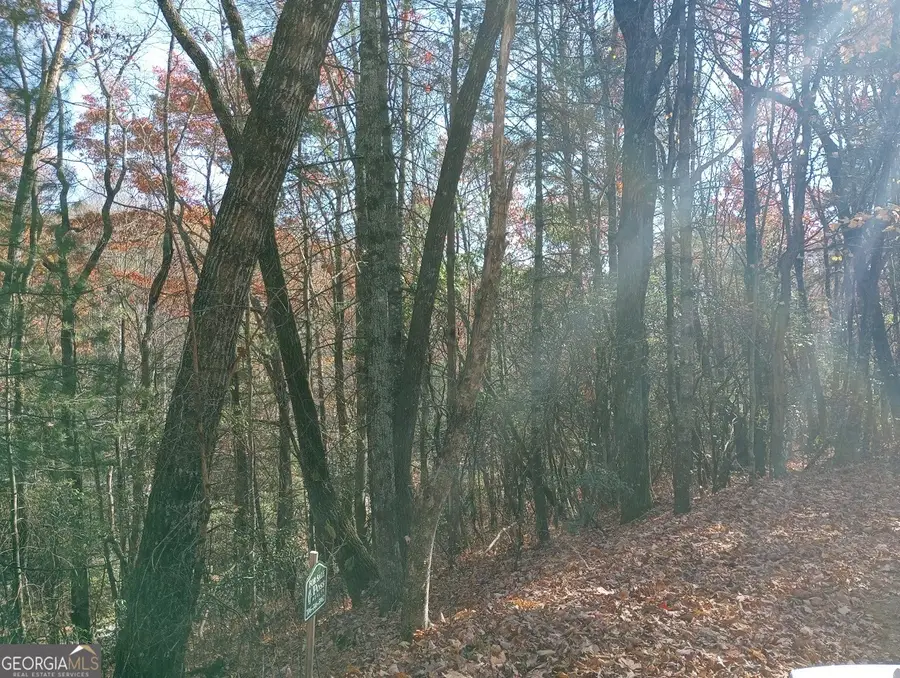 0 Rebel Circle #LOT 3, Sky Valley, GA 30537 - #3