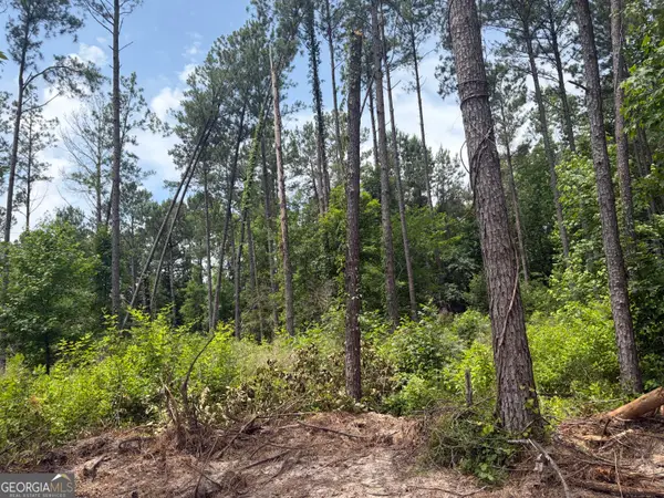 5 Sunhill Grange Road, Davisboro, GA 31018