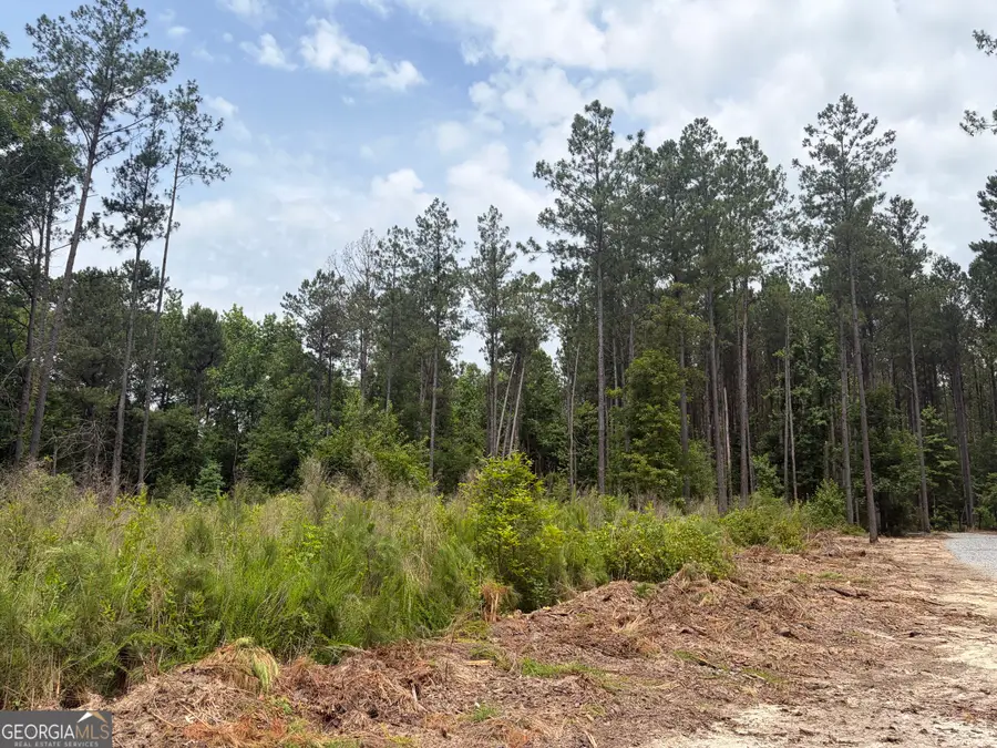5 Sunhill Grange Road, Davisboro, GA 31018 - #2