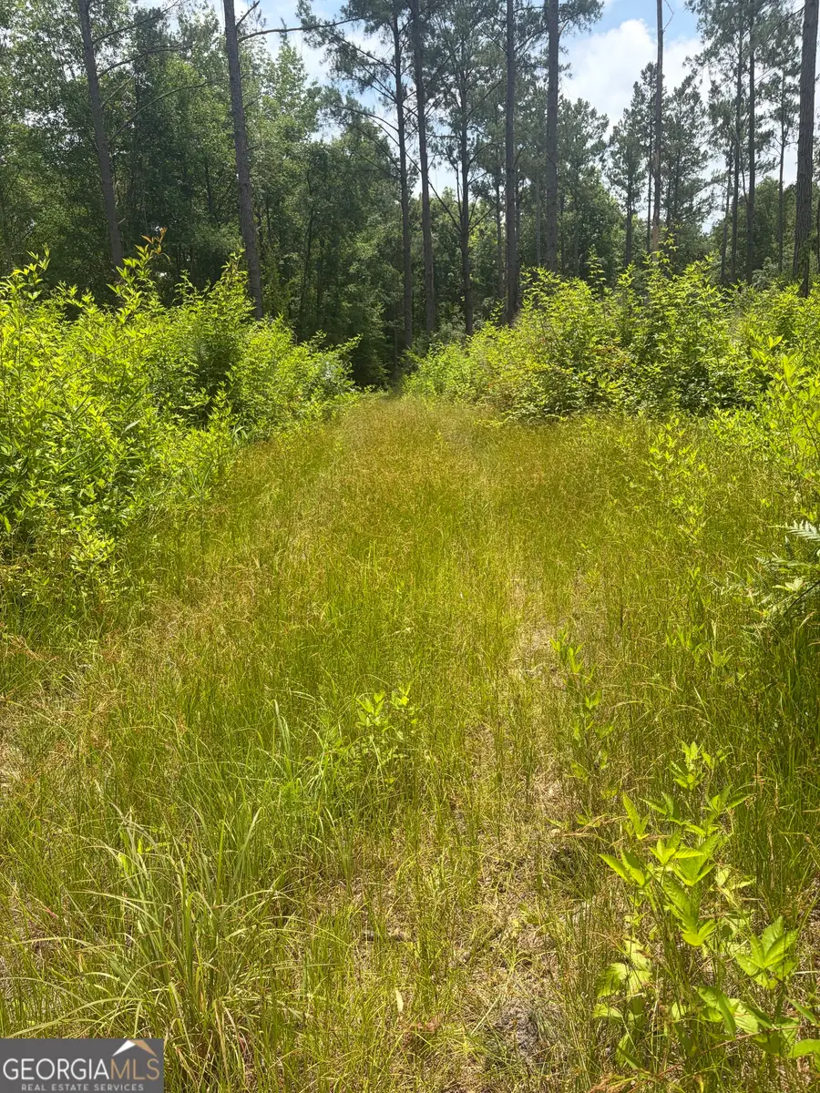 6 Sunhill Grange Road, Davisboro, GA 31018 - #2