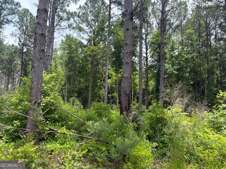 9 Sunhill Grange Road, Davisboro, GA 31018 - #2