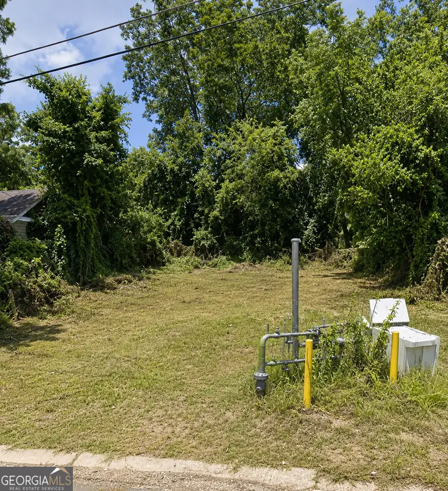 324 Astor Street, Macon, GA 31217 - #2