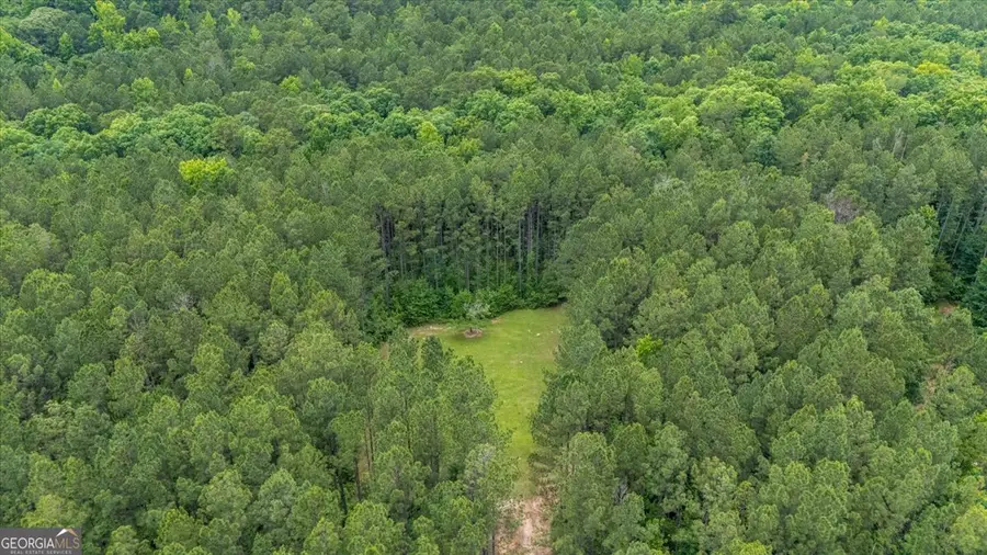 816 Teagle Road, Jackson, GA 30233 - #2