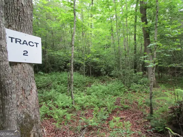 TRACT 2 E New Hope Road, Ellijay, GA 30536