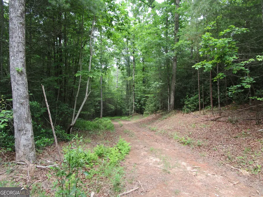 TRACT 2 E New Hope Road, Ellijay, GA 30536 - #2