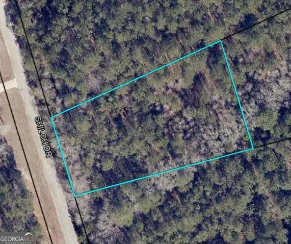 204 Shiloh Drive, Brooklet, GA 30415 - #1