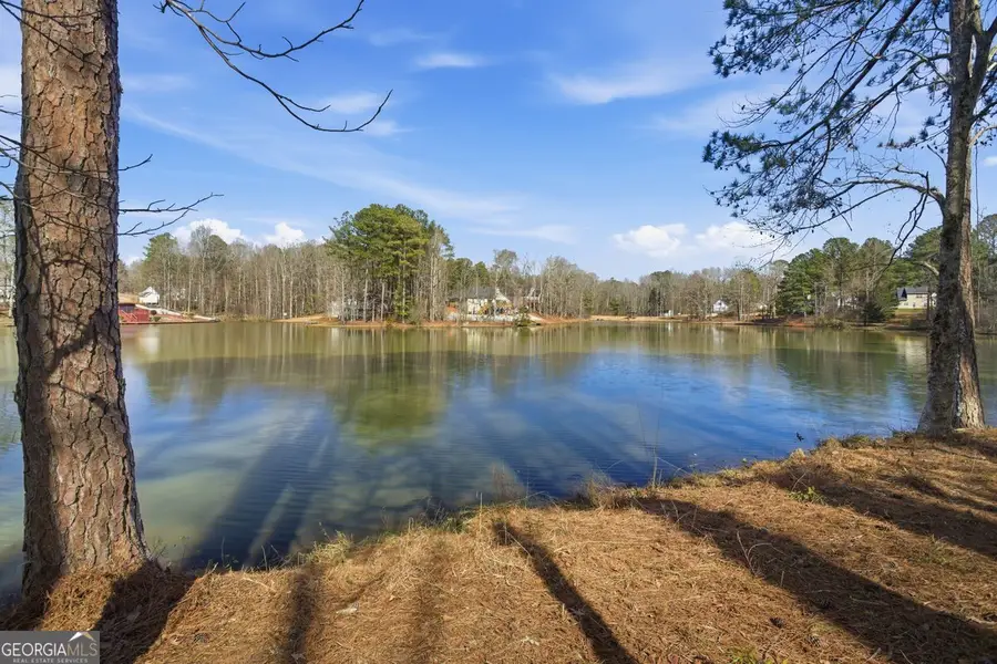290 The Falls Boulevard, Covington, GA 30016 - #2