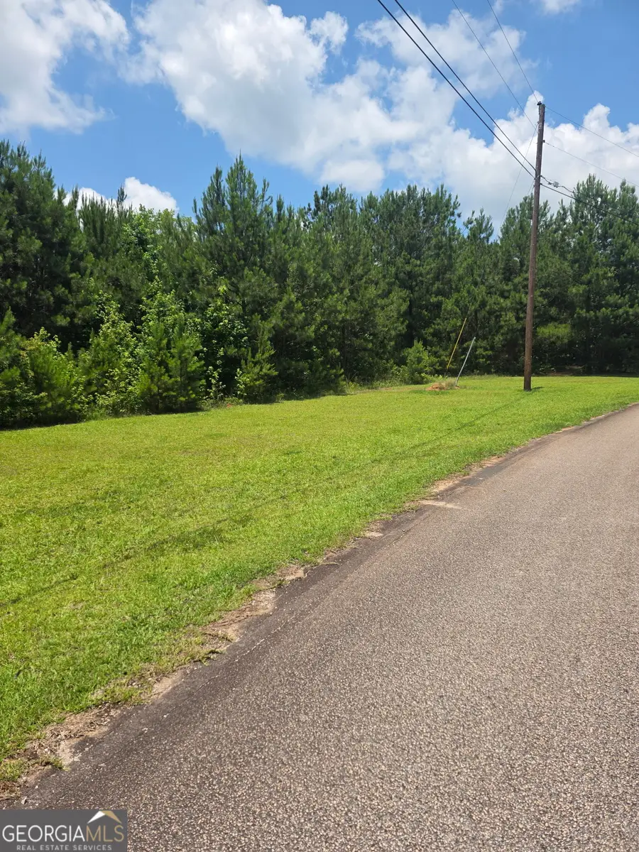 0 Mountain Brook Road, Hogansville, GA 30230 - #2