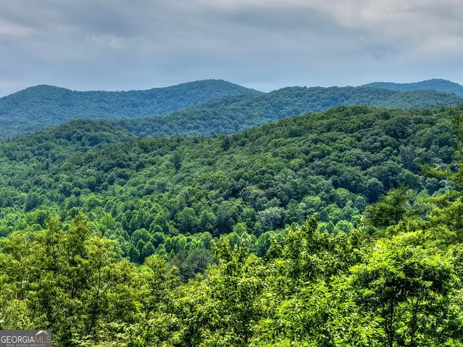 277 Hickory Nut Trail, Cherry Log, GA 30522 - #3