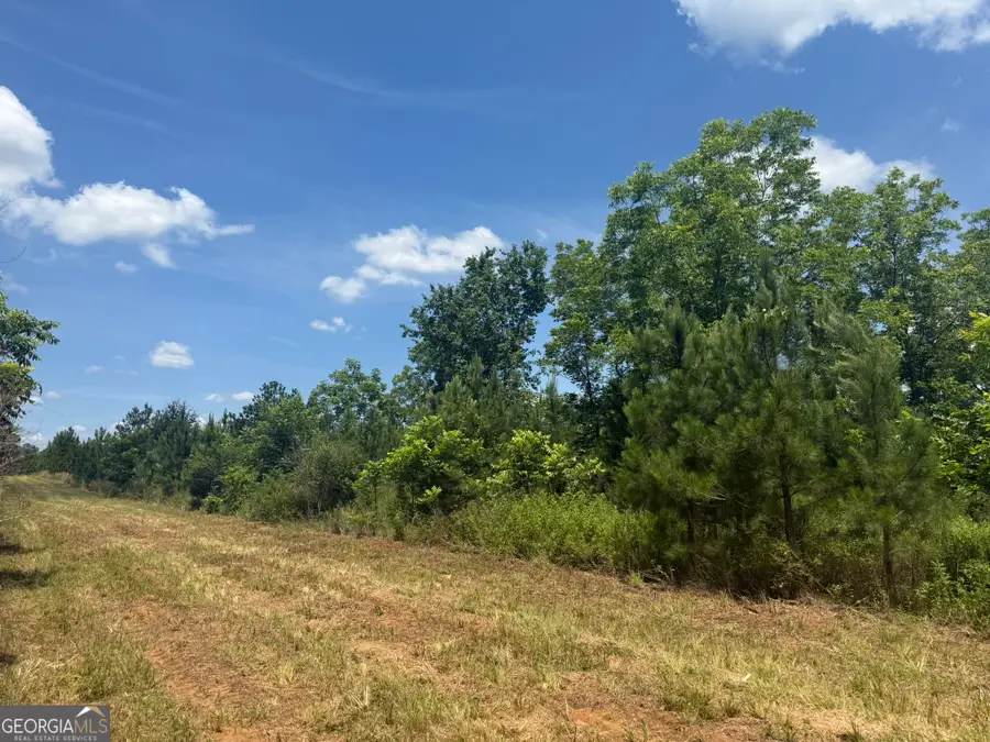 005 Fountain Bridge Road, Cuthbert, GA 39840 - #2
