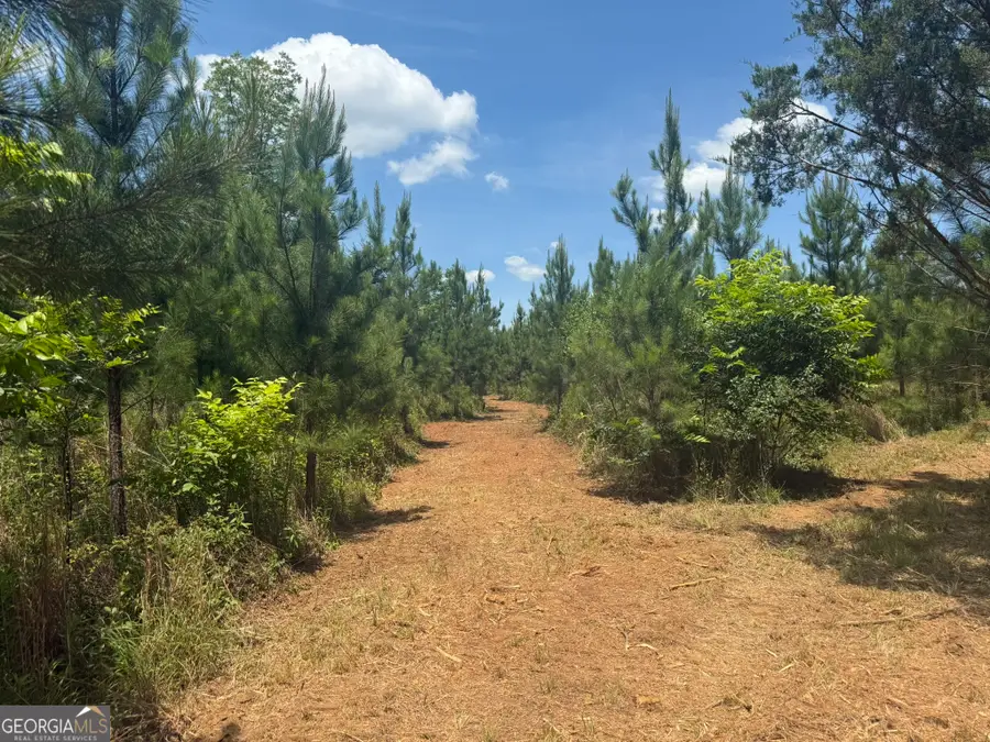 005 Fountain Bridge Road, Cuthbert, GA 39840 - #3