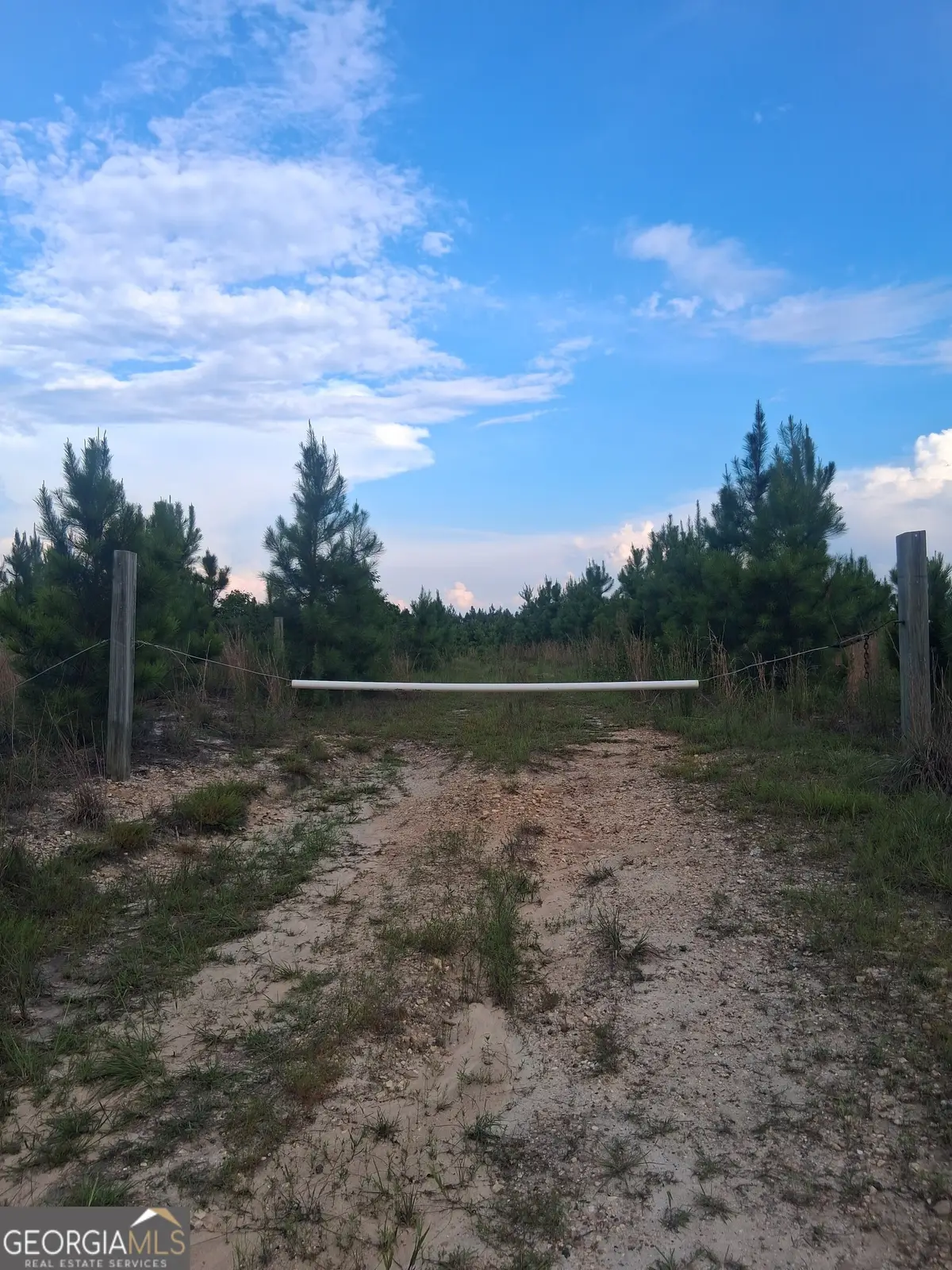 0 Abbeville Highway, Eastman, GA 31023 - #1