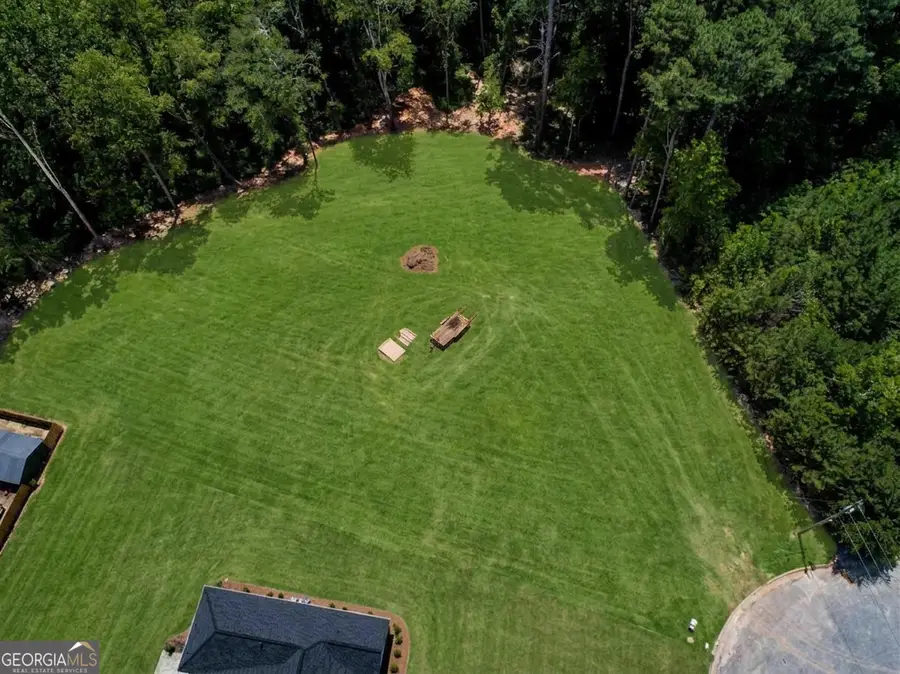 3890 Nikki Lane, Loganville, GA 30052 - #2