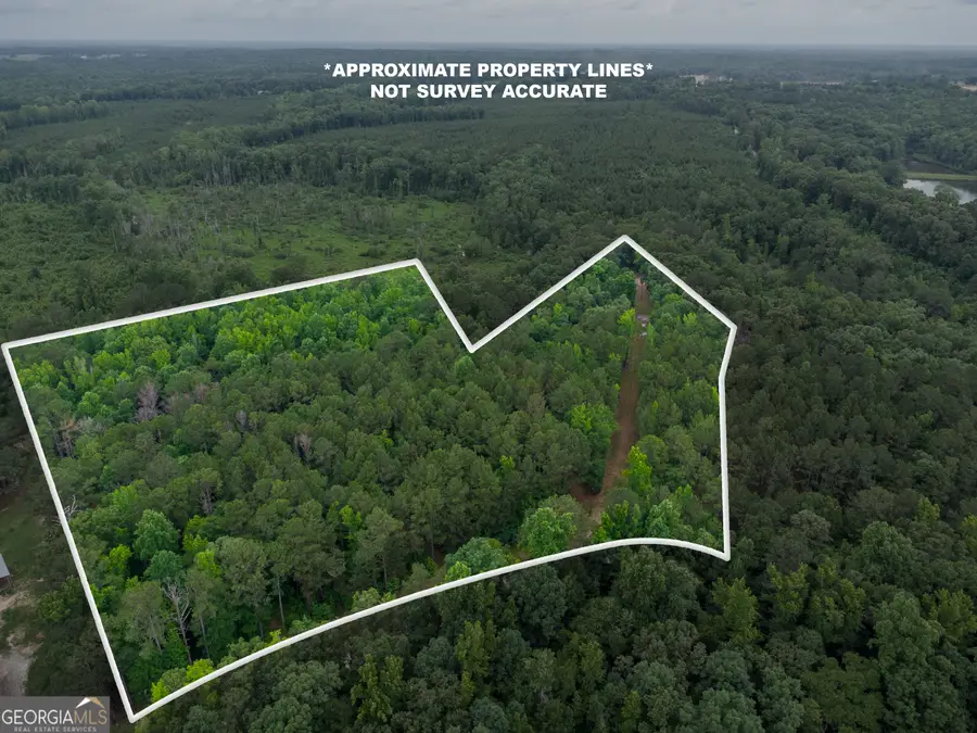 331 Potts Pond Road, Barnesville, GA 30204 - #3