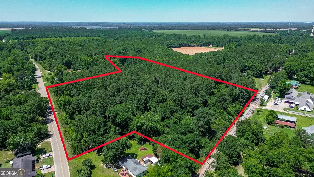 0 Johnson North Street, Bronwood, GA 39826 - #1