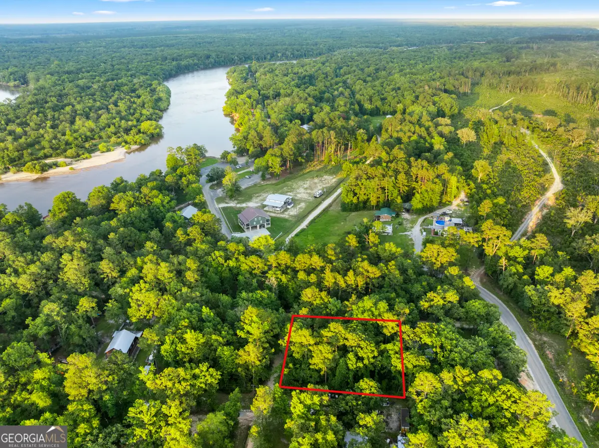0 River Loop Road, Baxley, GA 31513 - #1