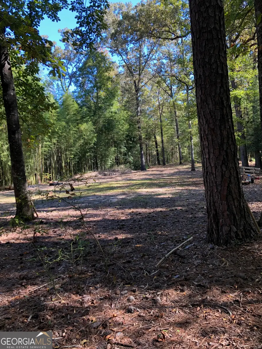 215 Webb Street, Warner Robins, GA 31093 - #2