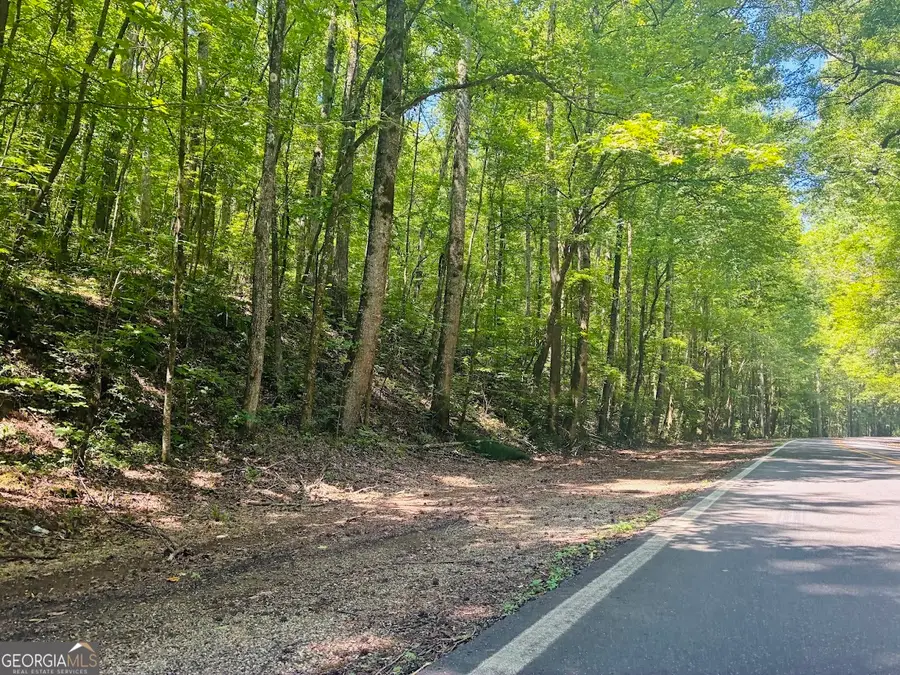 0 Forest Glen Road #UNIT A, Sylacauga, AL 35151 - #3