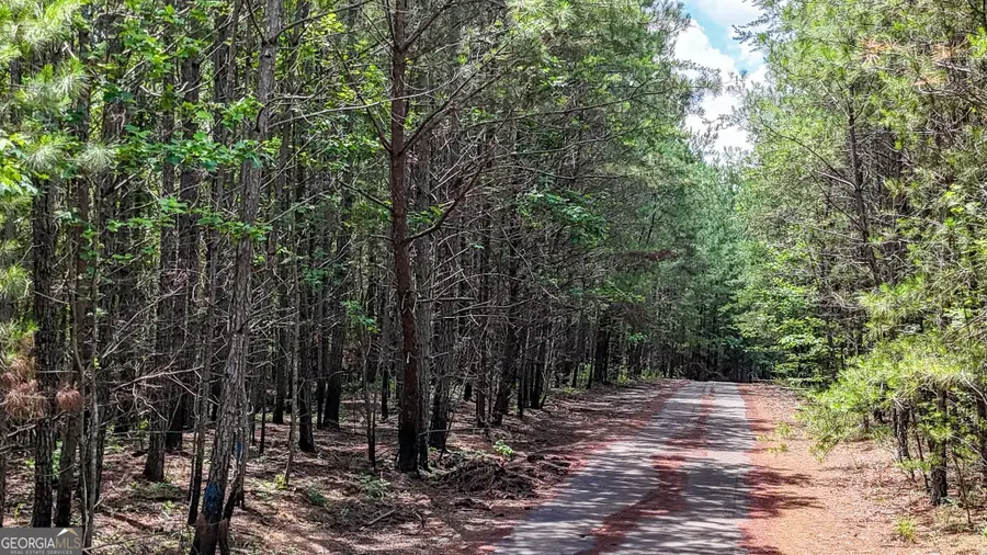 47 Lot #LOT 47, Rockmart, GA 30153 - #2