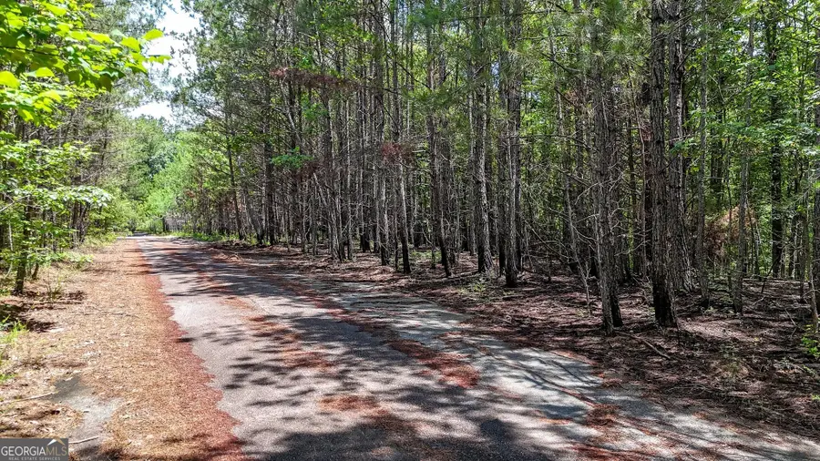 47 Lot #LOT 47, Rockmart, GA 30153 - #3