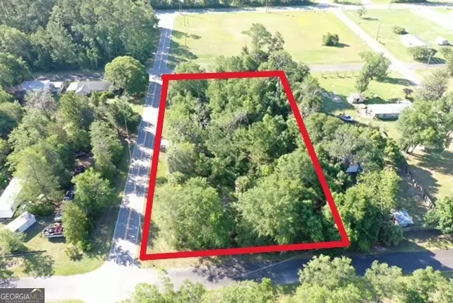 438 Davis Street, Homeland, GA 31537 - #3