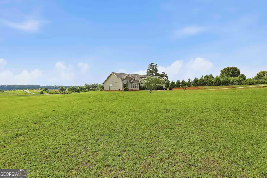 4466 Smokey Road, Newnan, GA 30263 - #3
