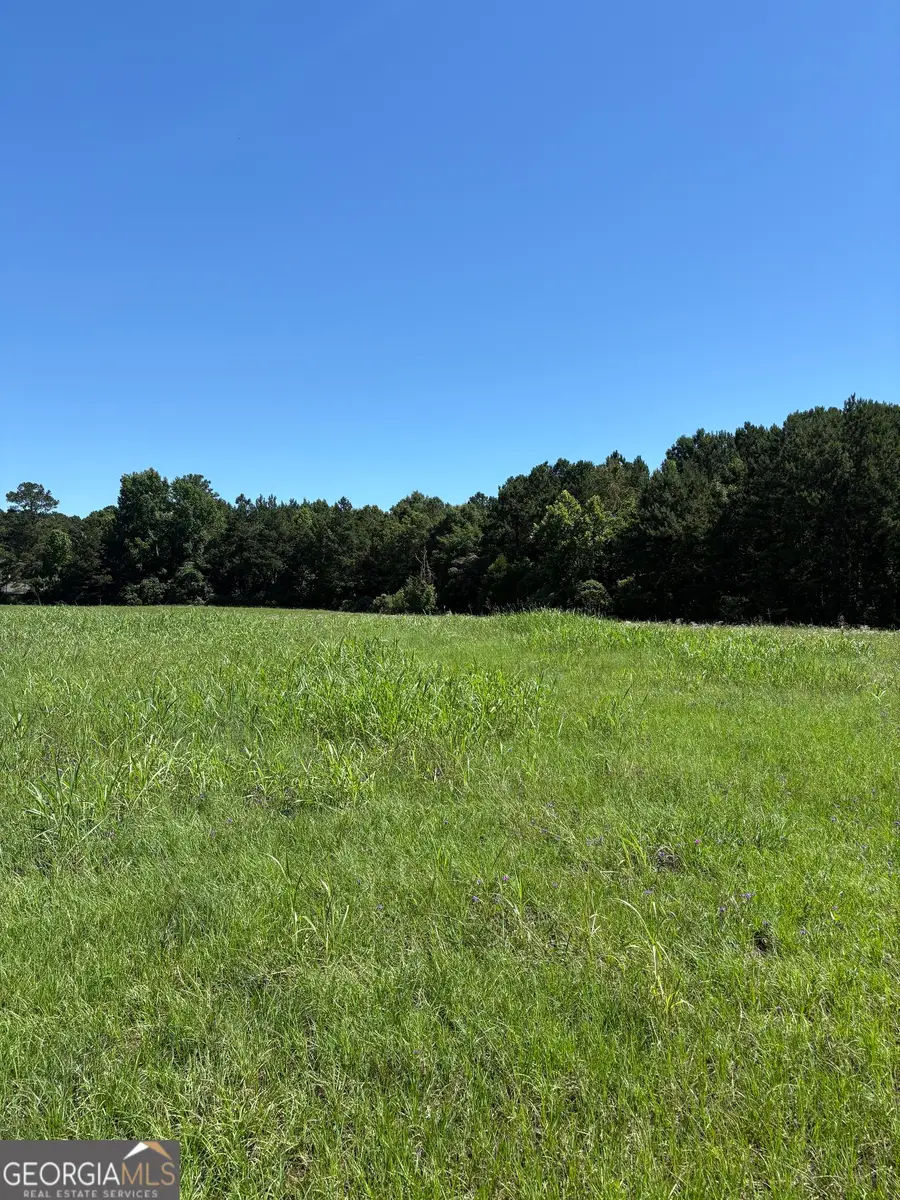 5.69 M Friedman Drive, Sandersville, GA 31082 - #2