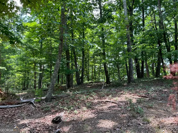 0 Planters Pointe Drive, Baldwin, GA 30511
