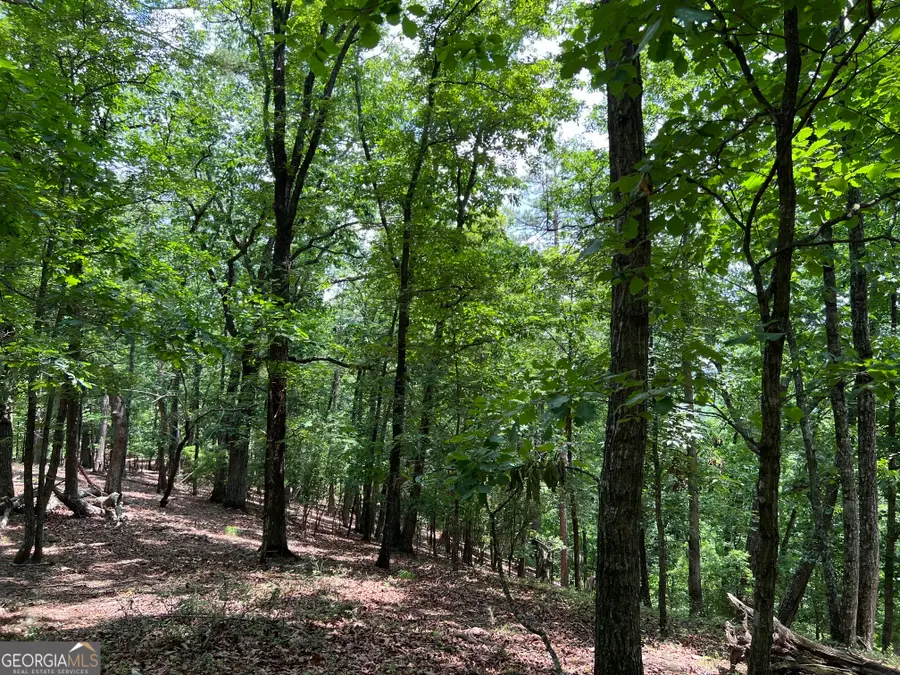 0 Planters Pointe Drive, Banks, GA 30511 - #3