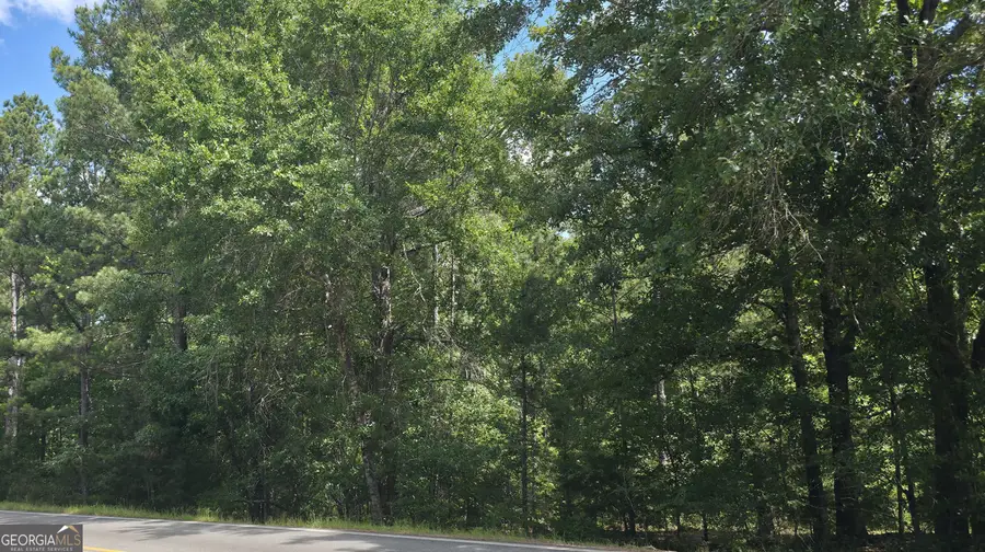 0 Bowen Hill Road, Haddock, GA 31033 - #2