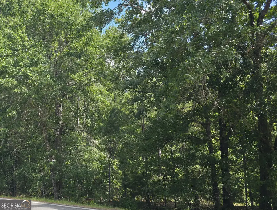 0 Bowen Hill Road, Haddock, GA 31033 - #3