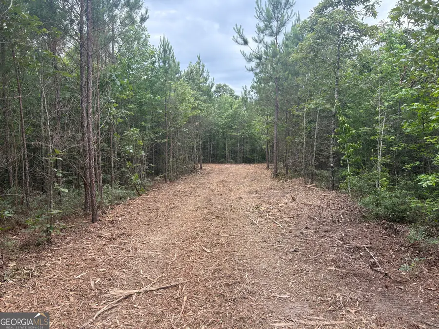 L4 Prosser Road, Sandersville, GA 31082 - #3