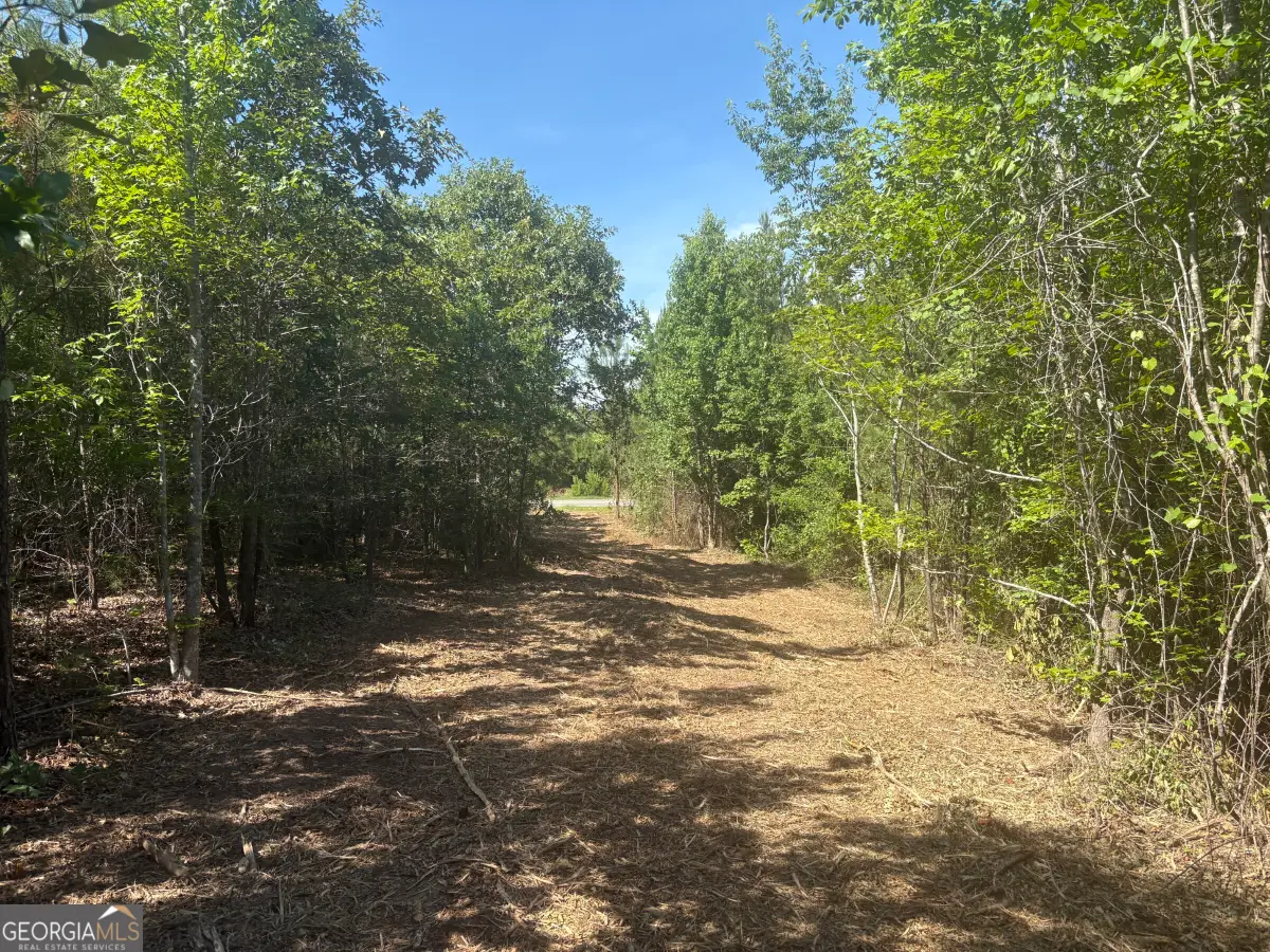 L6 N Indian Trail Road, Sandersville, GA 31082 - #1
