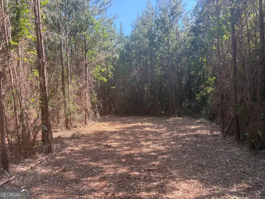L6 N Indian Trail Road, Sandersville, GA 31082 - #2