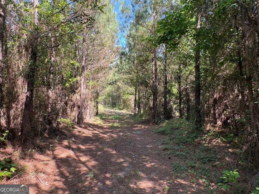 L9 N Indian Trail Road, Sandersville, GA 31082 - #3