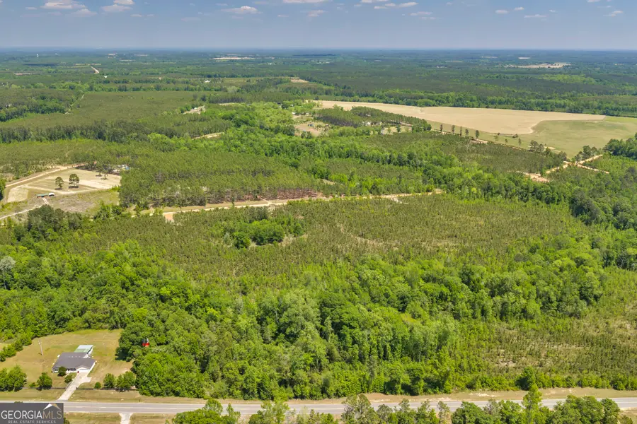 1215 State Rte 126, Cadwell, GA 31009 - #2