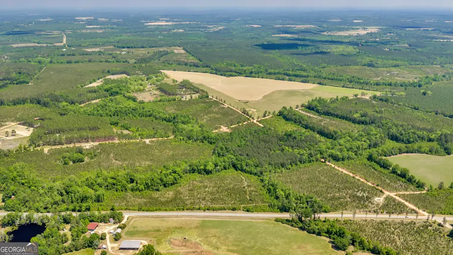 1215 State Rte 126, Cadwell, GA 31009 - #3