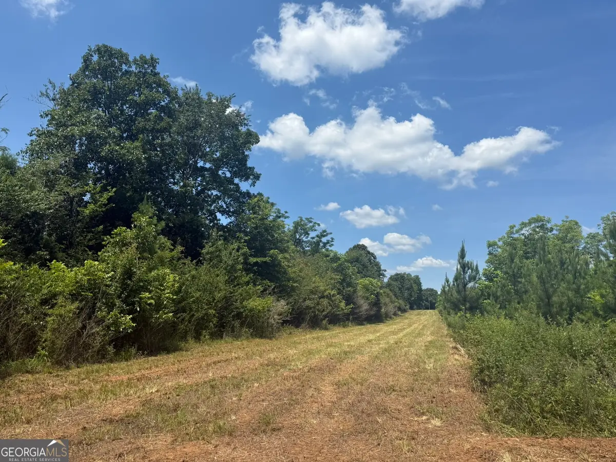 004 Fountain Bridge Rd, Cuthbert, GA 39840 - #1
