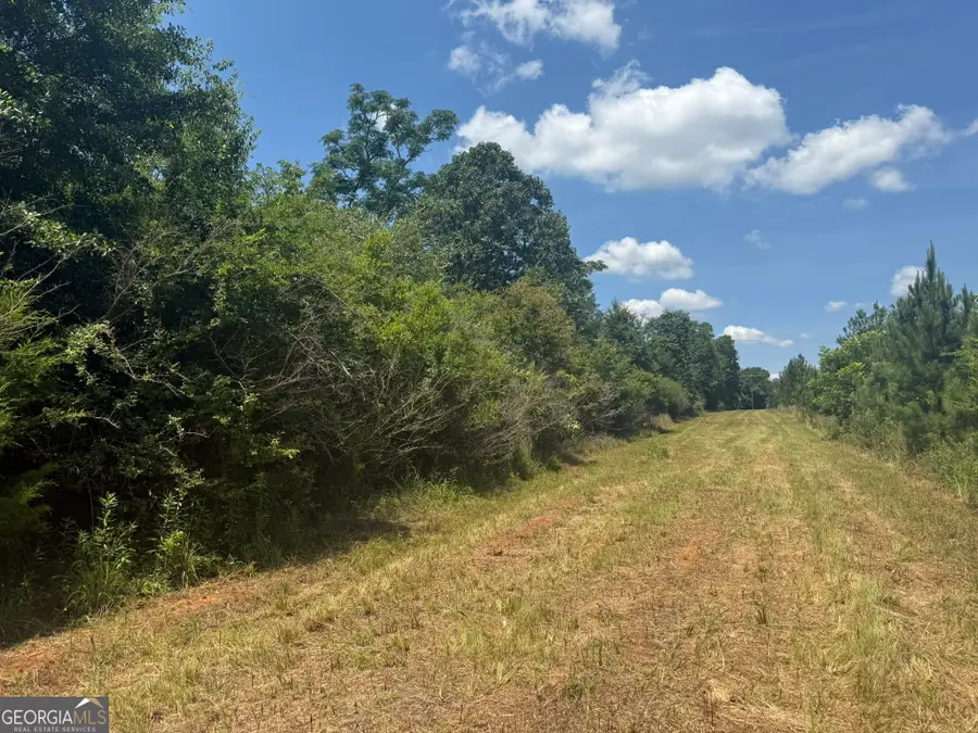 004 Fountain Bridge Rd, Cuthbert, GA 39840 - #2