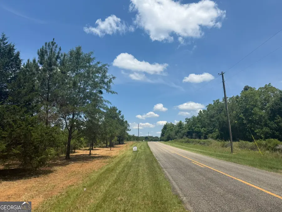 004 Fountain Bridge Rd, Cuthbert, GA 39840 - #3