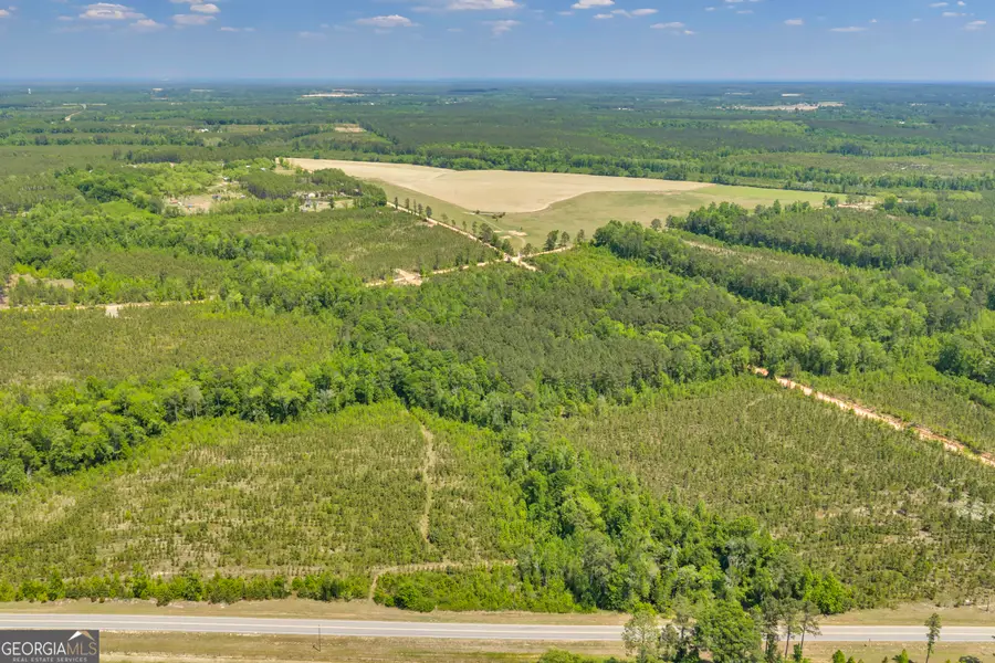 1180 Hwy 126, Cadwell, GA 31009 - #2